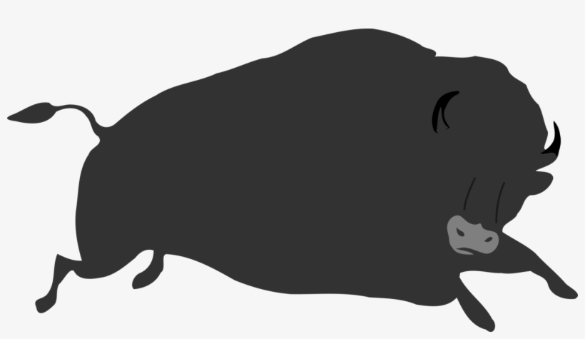 Cat European Bison Pig American Bison Canidae - Custom Grey Buffalo Shower Curtain, transparent png