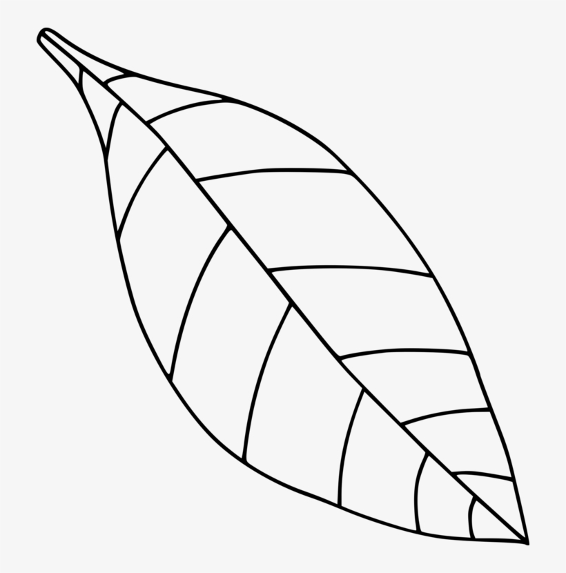 Computer Icons Drawing Black And White Leaf Coloring - Leaf Clipart Black And White, transparent png