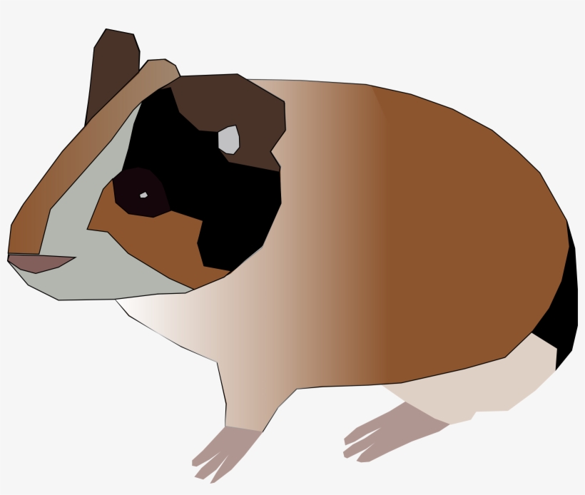 Guinea Pig Clip Art Free Vector Morce Clip Art Morce - Guinea Pig Clip Art, transparent png