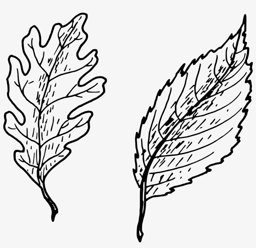 Clipart - Keys Of Power By Nathan Crick, transparent png