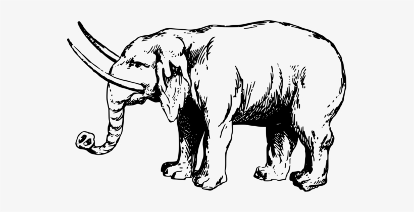 African Elephant Tiger Lion Elephantidae Indian Elephant - Elephant Ancient, transparent png