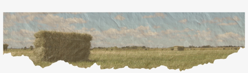 Clipart Royalty Free Library Sacramento County Farm - Natural Environment, transparent png