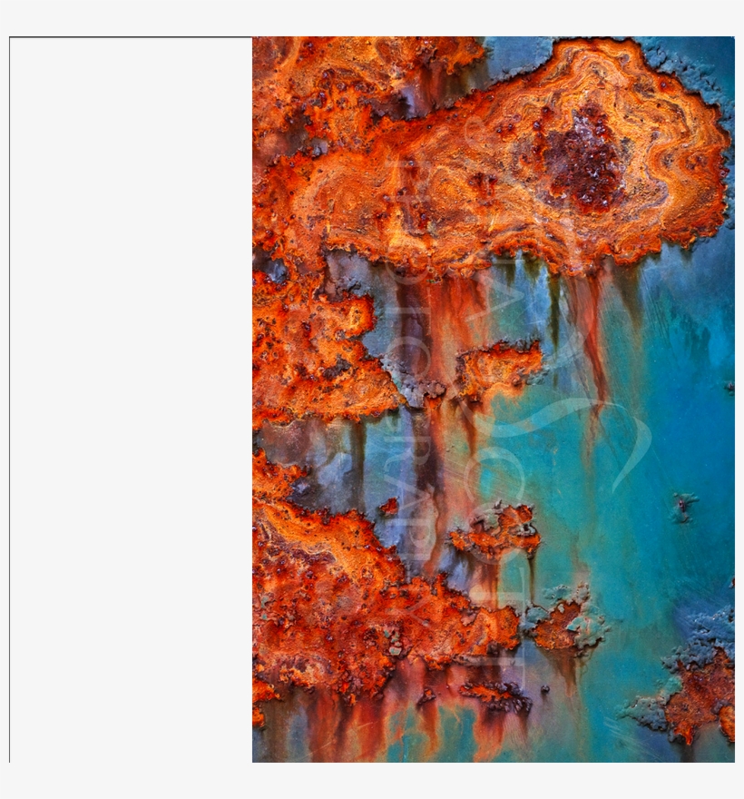 Photograph Analysis - Visual Arts, transparent png