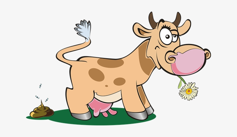 Cattle, transparent png