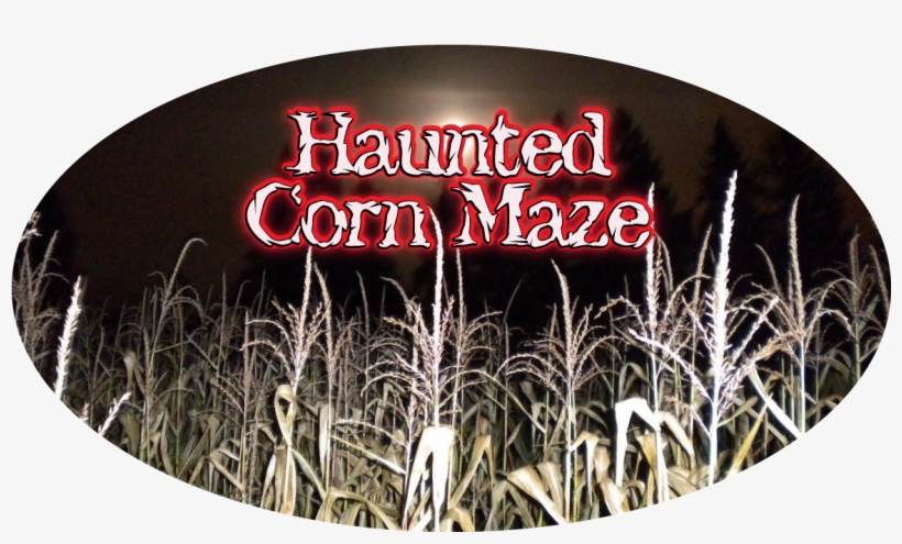 Haunted Corn Maze, transparent png