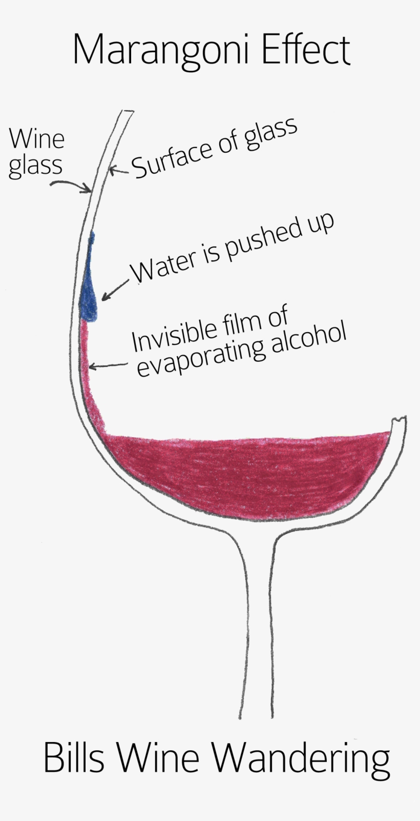 Wine Legs Or Tears, transparent png