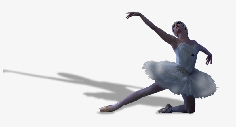Home - Performances - Swan Lake Birmingham Alabama Ballet, transparent png