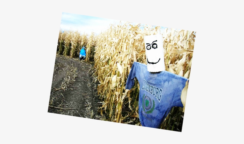 Copyright 2017 - Field, transparent png