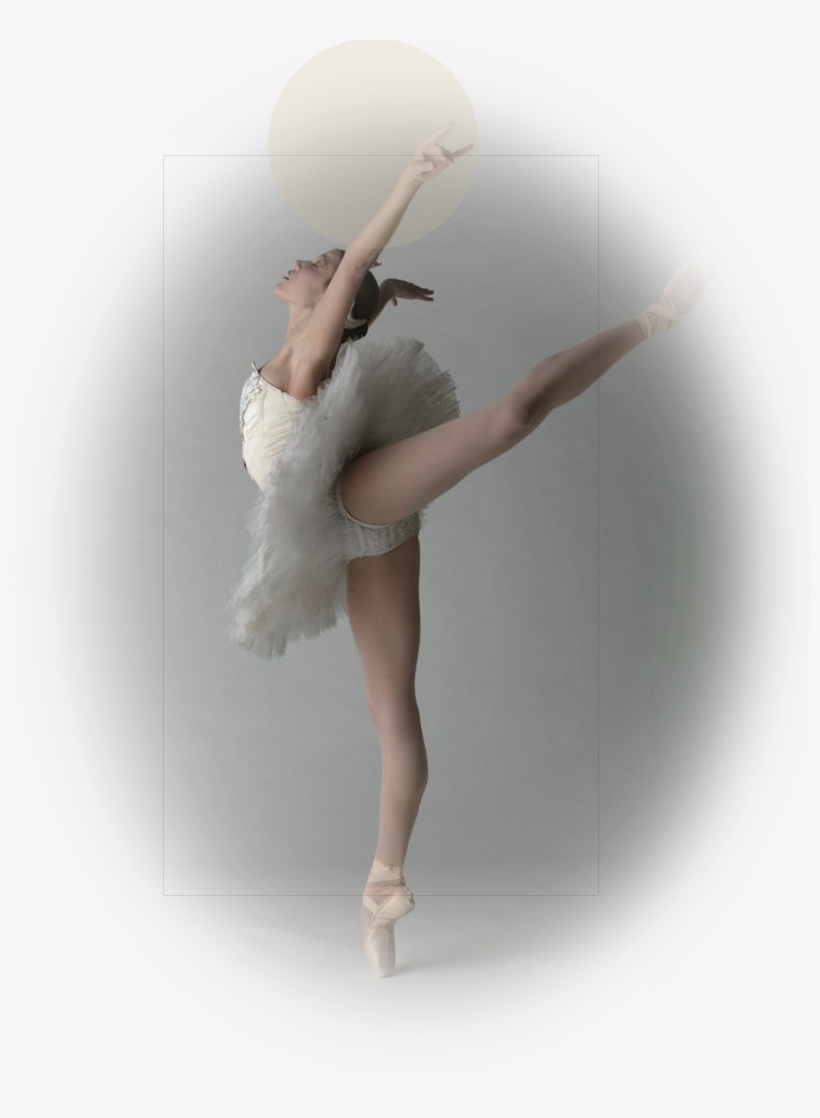 Additional Daytime Class Offerings Include Elementary - Johns Creek, transparent png