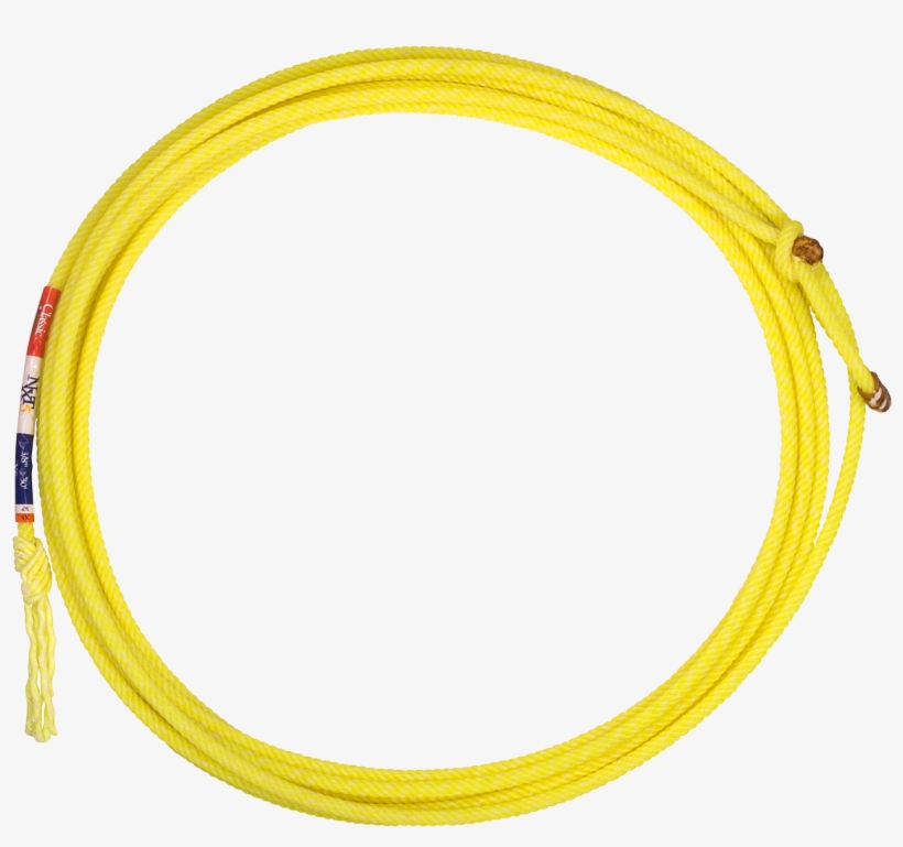 Circle, transparent png