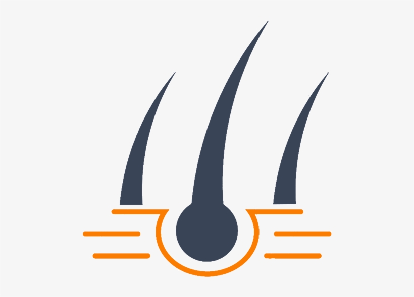 Original Size Is 520 × 530 Pixels - Hair Transplantation Logo, transparent png