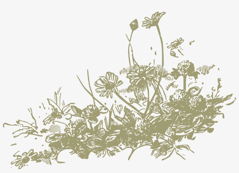 Spring Wildflowers Cliparts - Wild Flower Clip Art, transparent png