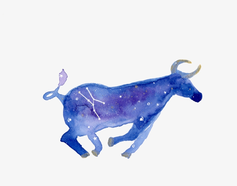 Taurus Ink And Watercolor, transparent png