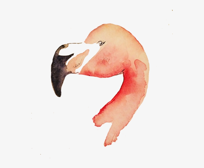 Flamingo Head, transparent png