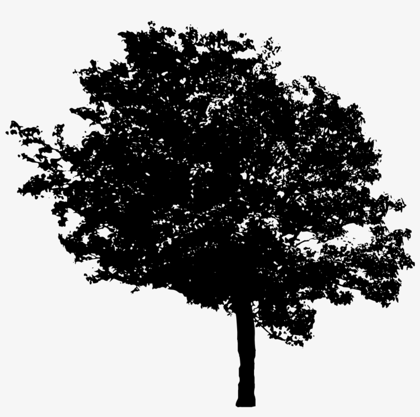 Free Download - Tree In Black Transparent, transparent png