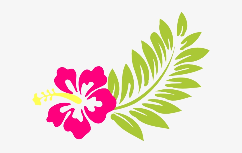 37 Watercolor Hibiscus Flowers, Coral Vines, Butterflies, - Pink Hibiscus Clip Art, transparent png