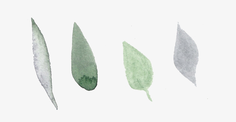 Free Watercolor Floral Pattern Png - Watercolor Painting, transparent png