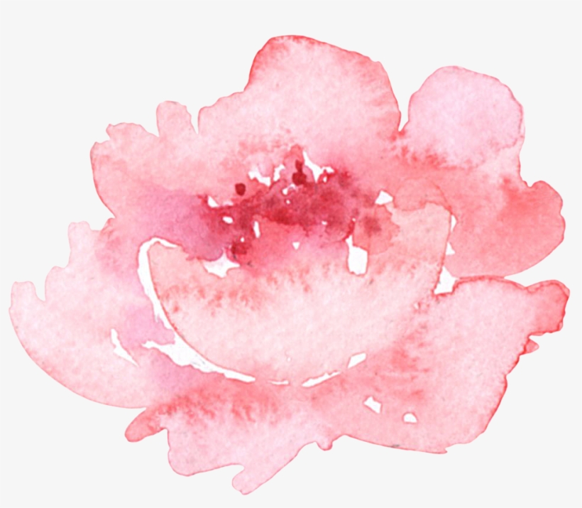Sweet Paws In Wonderland - Peony, transparent png
