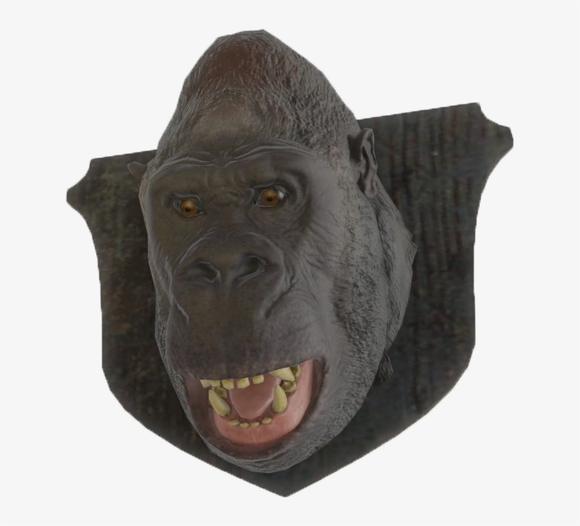Fo4 Mounted Gorilla Head - Gorilla, transparent png