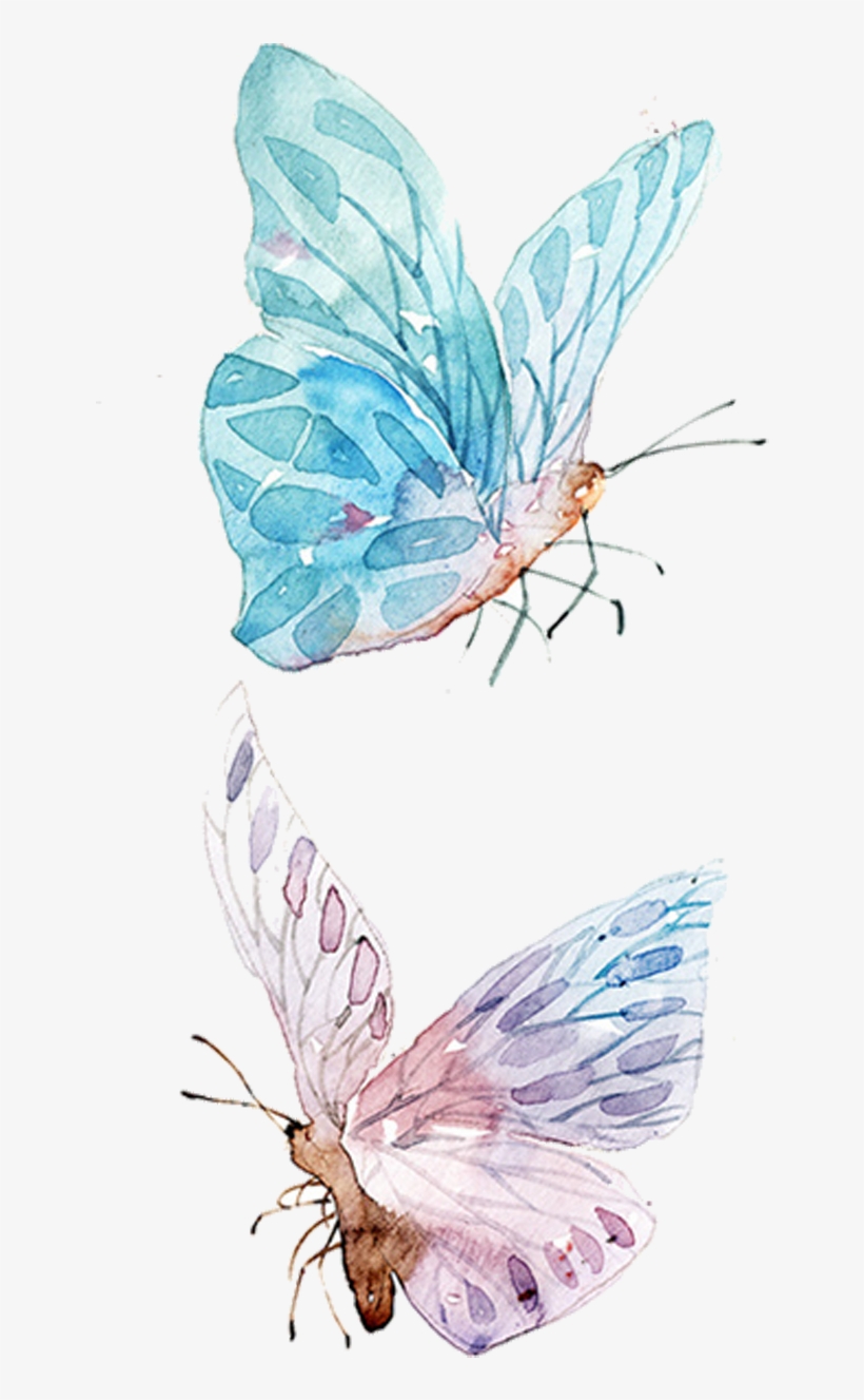 Watercolor Painting Drawing Clip Art - Watercolor Butterfly Illustration Png, transparent png