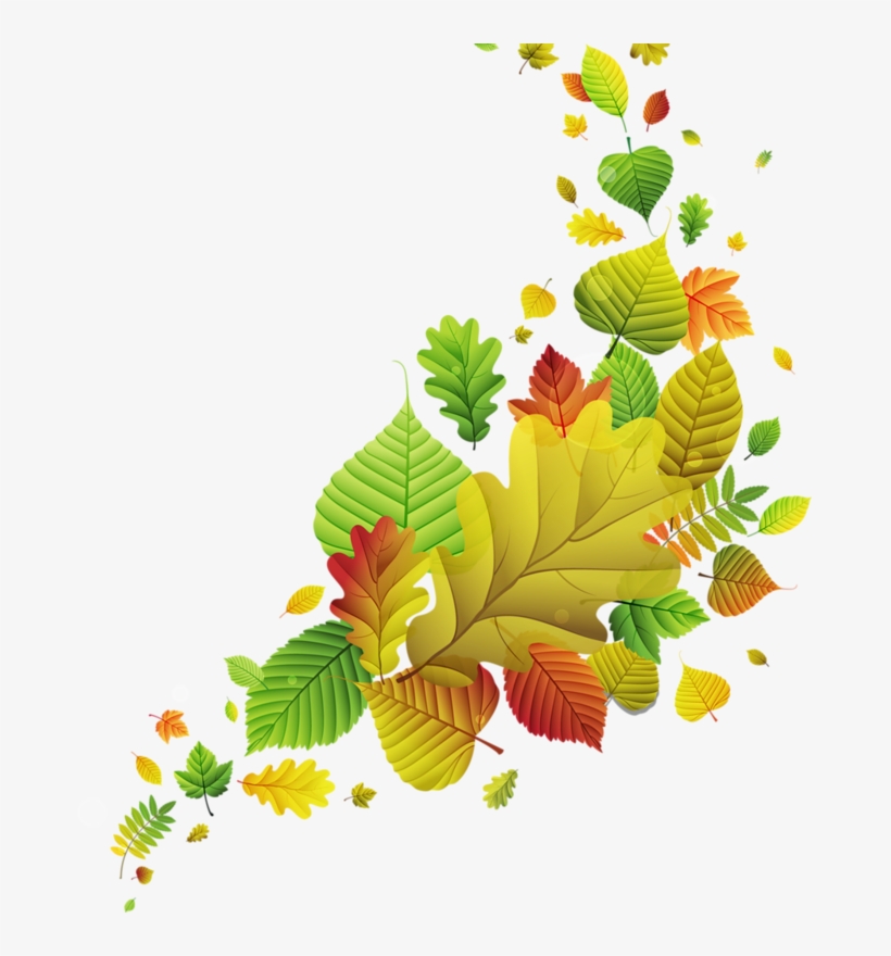 0 B2ad1 9062393 Xl - Vector Graphics, transparent png