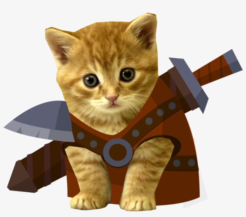 Marmalade Kitten Poster Photo Print 32x24, transparent png