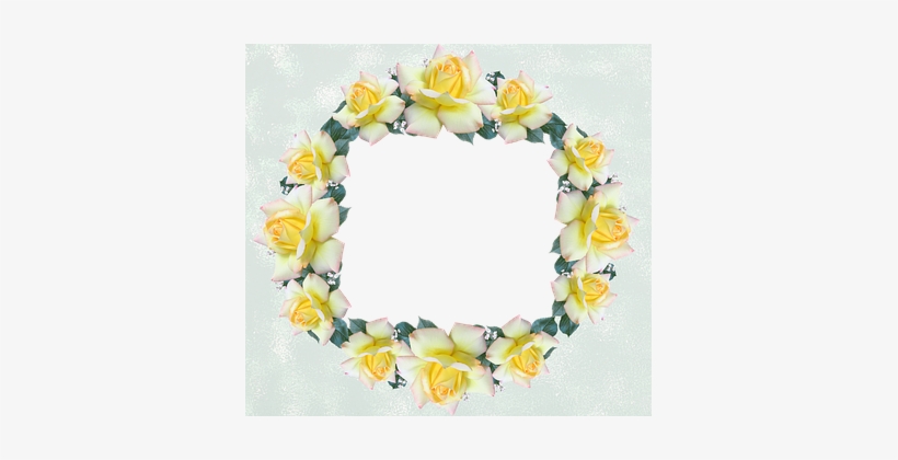 Frame, Border, Rose, Flower - Photograph, transparent png