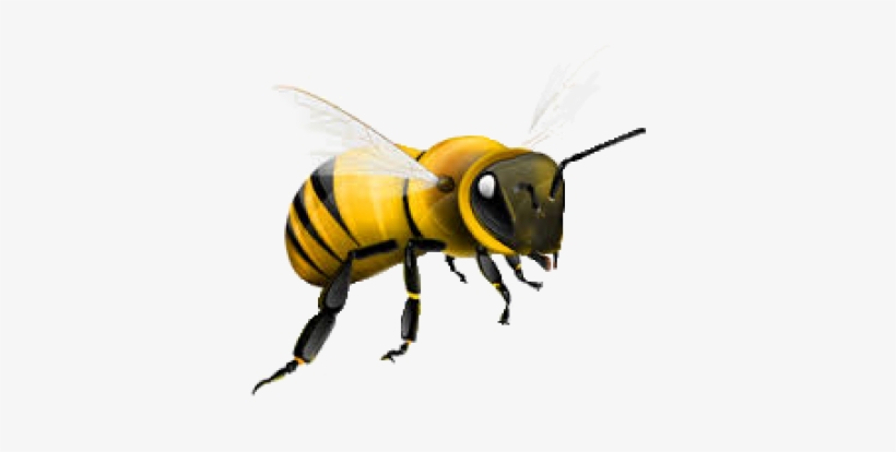 Bee Png Free - Honey Bee Png, transparent png
