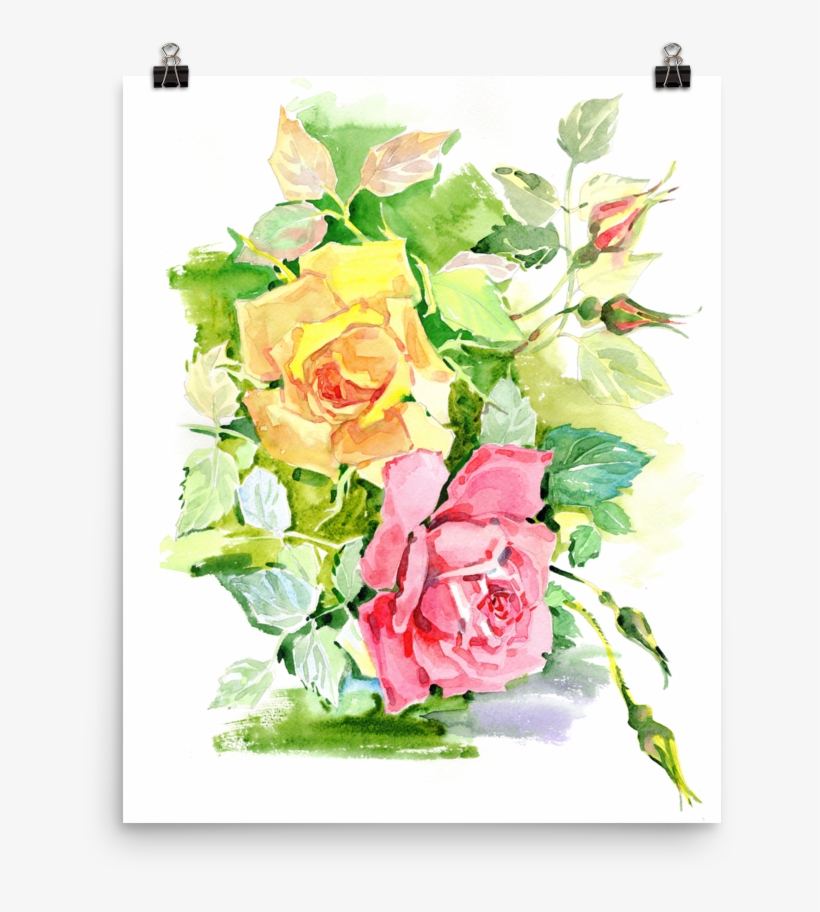 Bright And Floral Rose Watercolour Print Matte Poster - Watercolor Painting, transparent png
