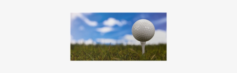 Golf Ball On Green Grass Over A Blue Sky Poster • Pixers® - Pitch And Putt, transparent png