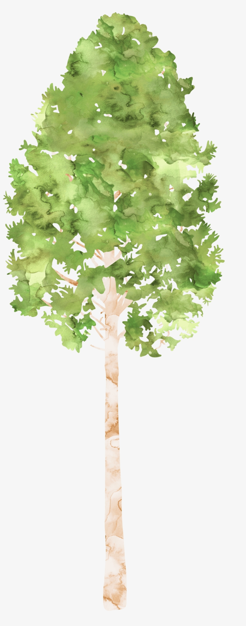 Clipart Tree Watercolor - Watercolor Painting, transparent png
