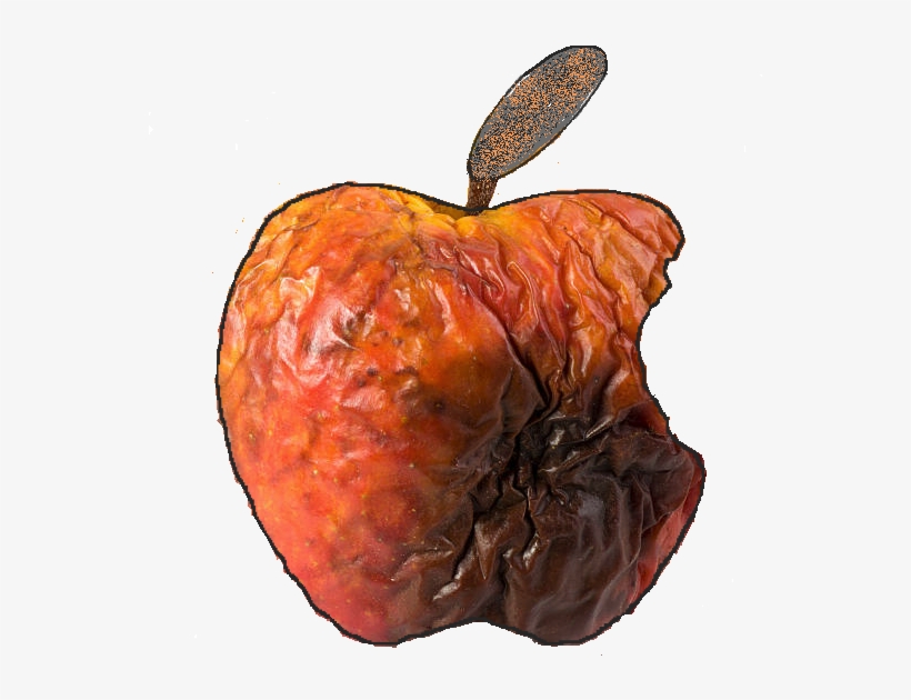 History, transparent png