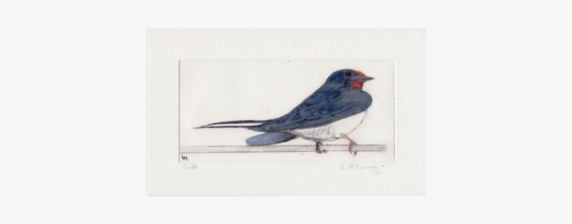 Image Freeuse Download Swallow At Trevega Watercoloured - Drawing, transparent png