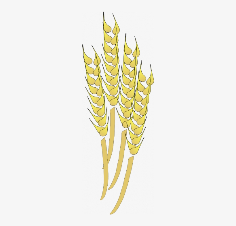 Vector Wheat Psd - Wheat Clip Art, transparent png