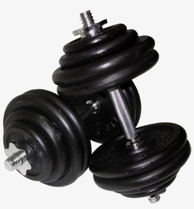 Download - Dumbbell Transparent Png, transparent png