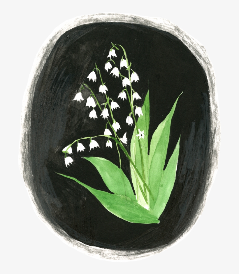 Lindsay Gardner - Illustration, transparent png