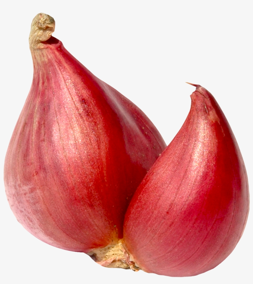 Shallot Onion Png Image - Shallot Onion Png, transparent png