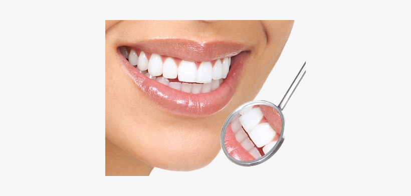 White Teeth Transparent Background - Ihealthia Sonic Replacement Toothbrush Heads For Philips, transparent png