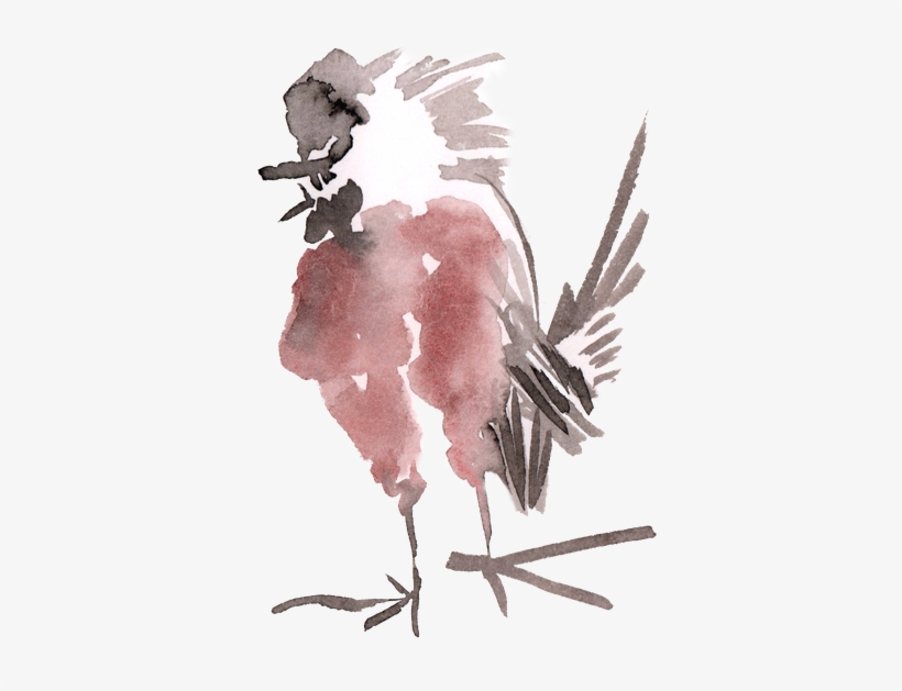 Watercolor Painting Of A Bird - Drawing, transparent png