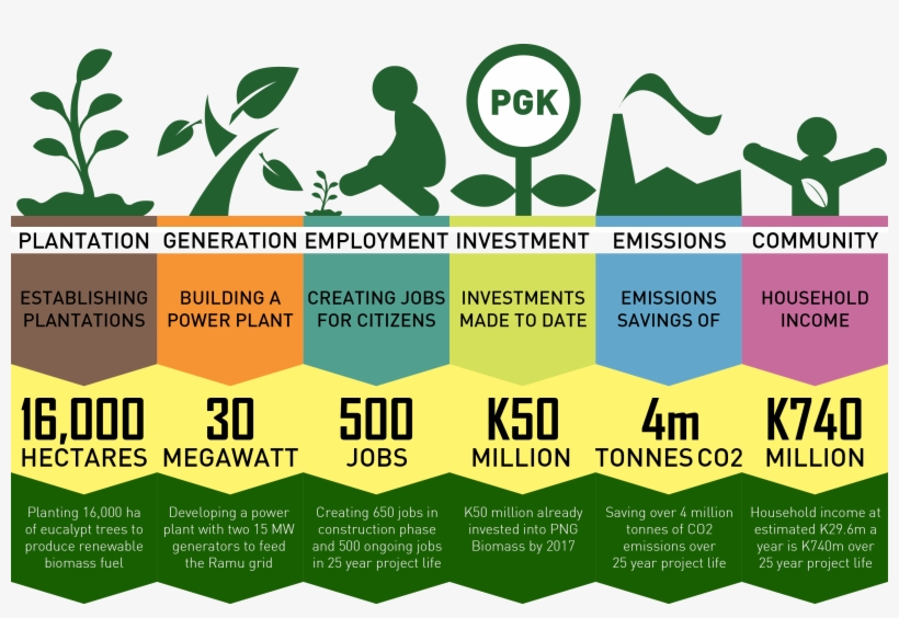 Electrifying Png - Biomass Infographic, transparent png