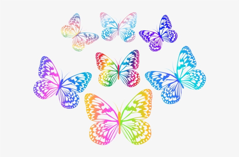 Multicolored Butterflies Png Clip Art Flutterbys - Mein Fantastisches Leben - Von Wegen!, transparent png