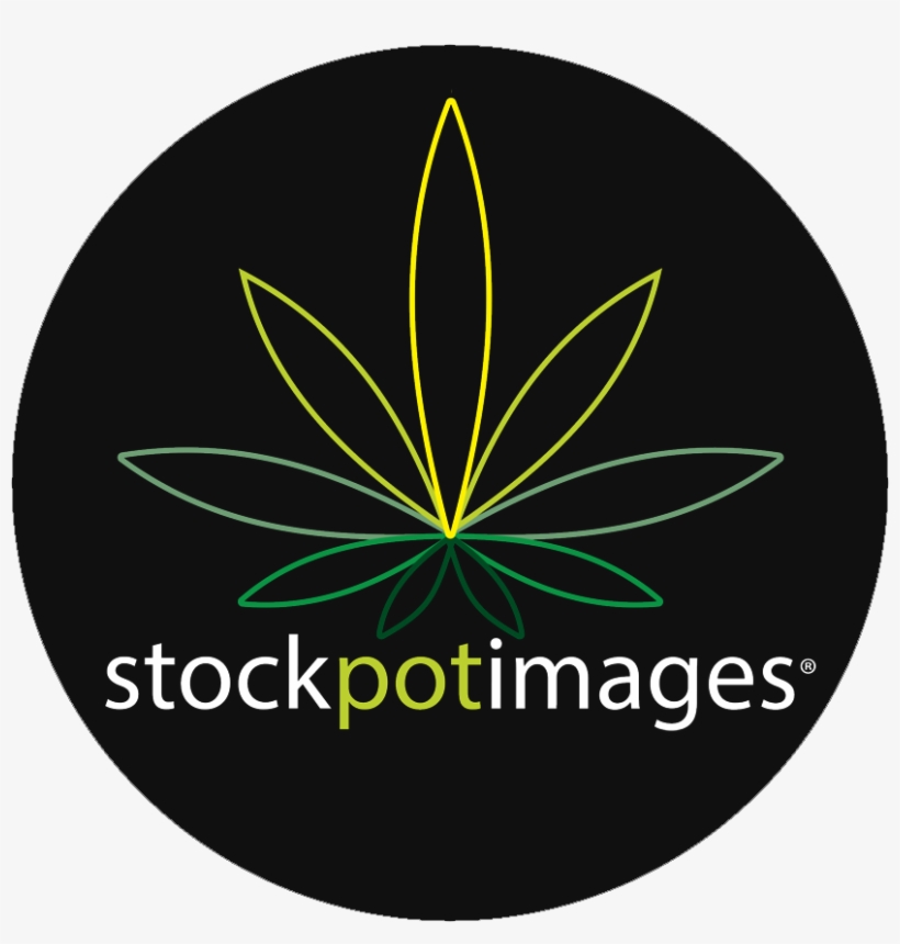 Logo Stock Pot Images Homepage - Sanderson Tessuti, transparent png