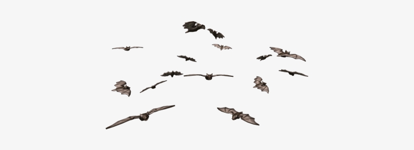 Swarm Of Bats - Bat, transparent png