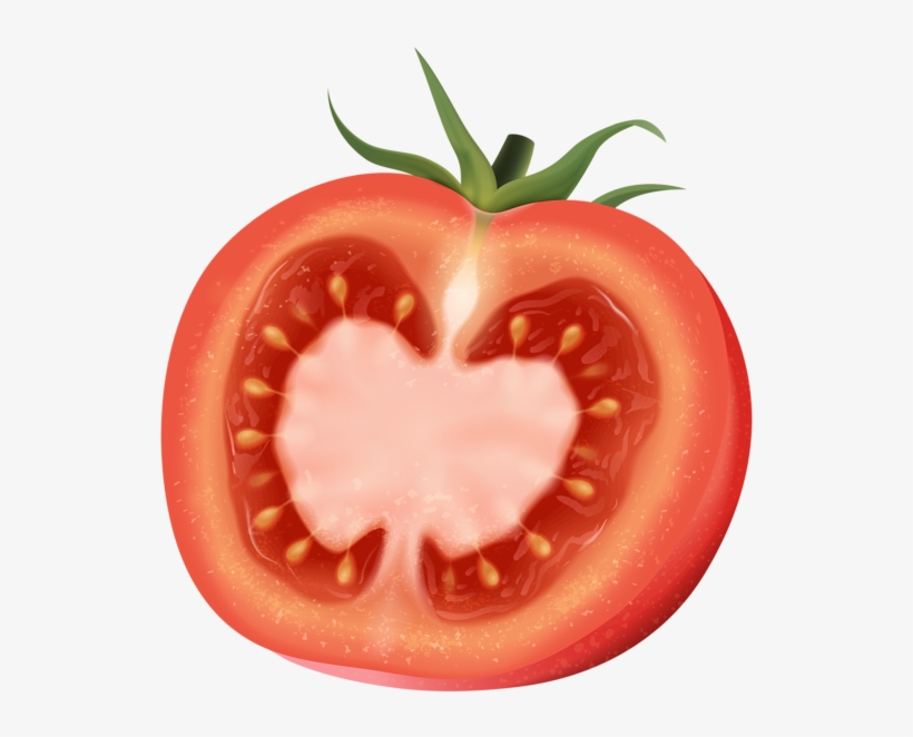 Jpg Stock Plum Art Clip Transprent Png Free - Half Of A Tomato, transparent png