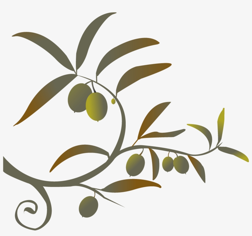 Branch Png Siren Song Of The Counter - Olive Branch Free Clip Art, transparent png