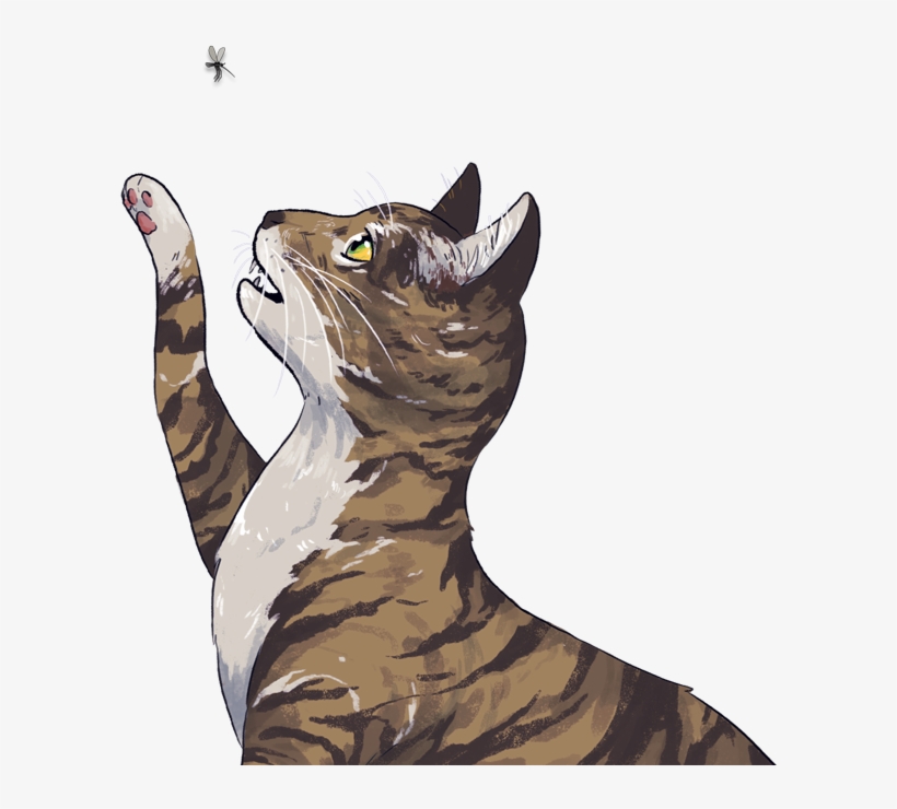 Revolution Is A Safe, Effective 5 In 1 Preventative - Cat, transparent png