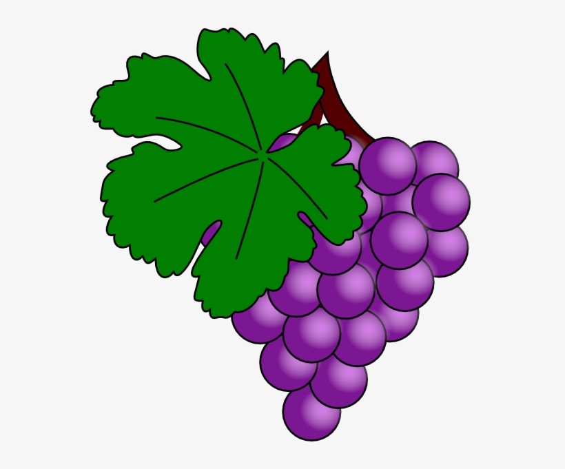Clip Art Grape, transparent png