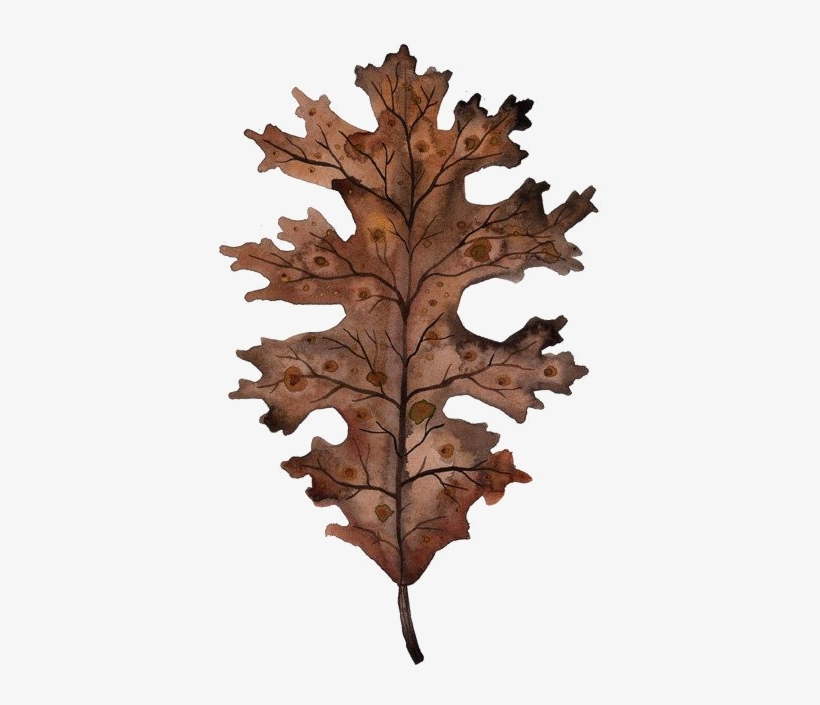 Explore Watercolor Print, Watercolour Painting, And - Watercolor Painting, transparent png