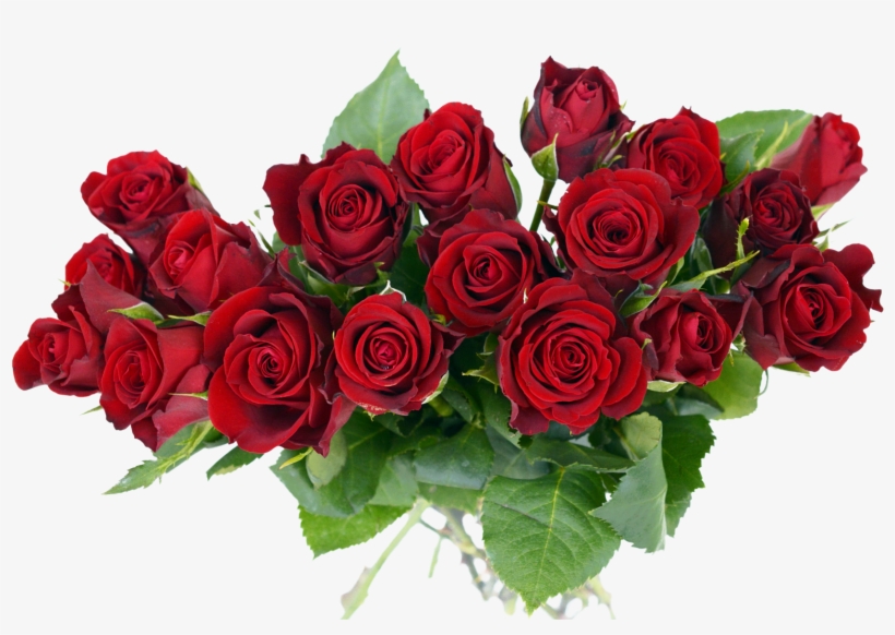 Rose Transparent Pictures Free - Rose Flower Bouquet Png, transparent png