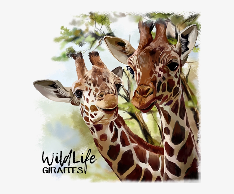 Giraffes By Kajenna - Cartoon Giraffe African, transparent png
